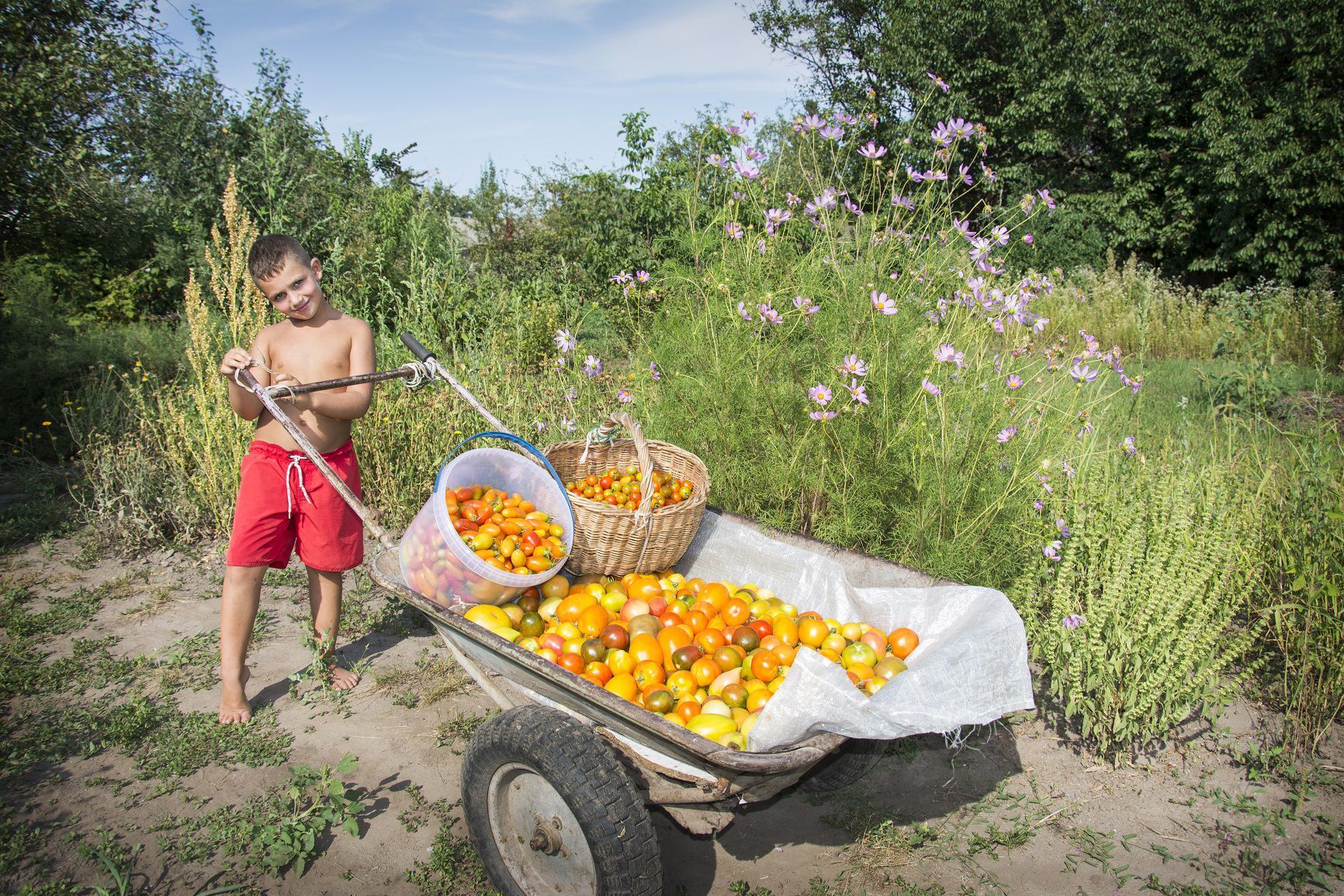 Napa County Master Gardeners: It's not too late to plant your summer garden